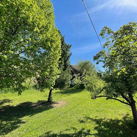 Baierdorf Ferienhuette Bosic 빌라 외부 사진