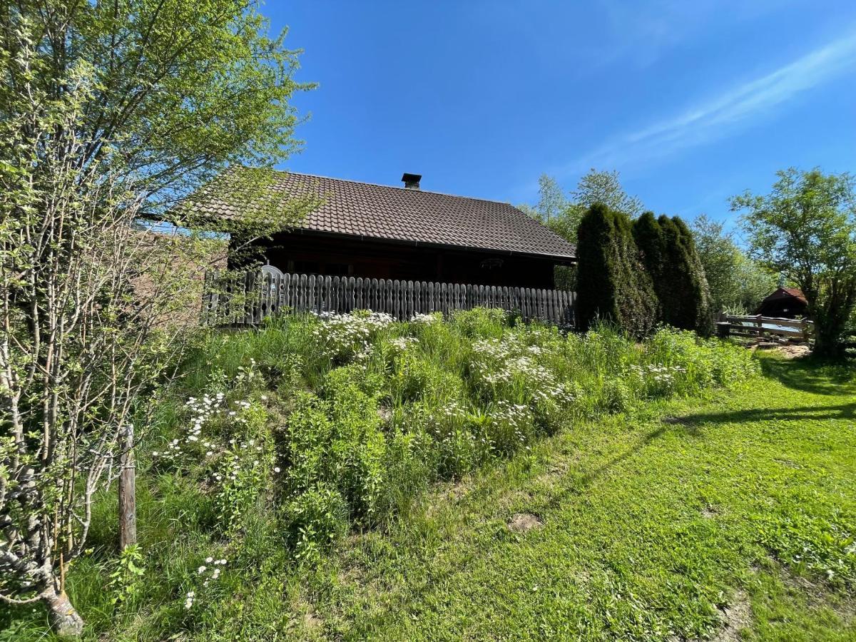 Baierdorf Ferienhuette Bosic 빌라 외부 사진